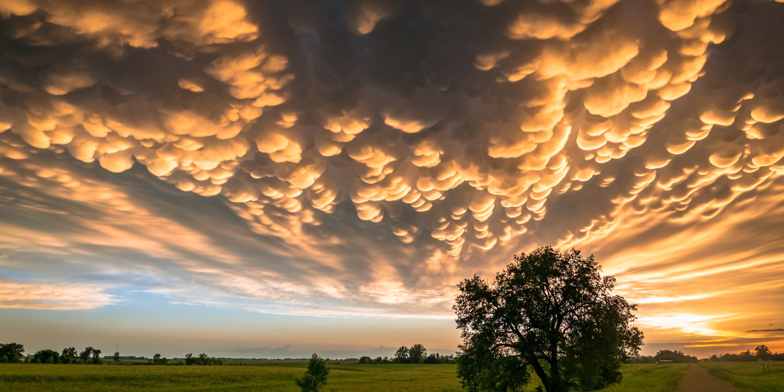 Beautiful evening scene of the Great Plains, USA at sunset. Photographed at the end of a stormchase in Nebraska.