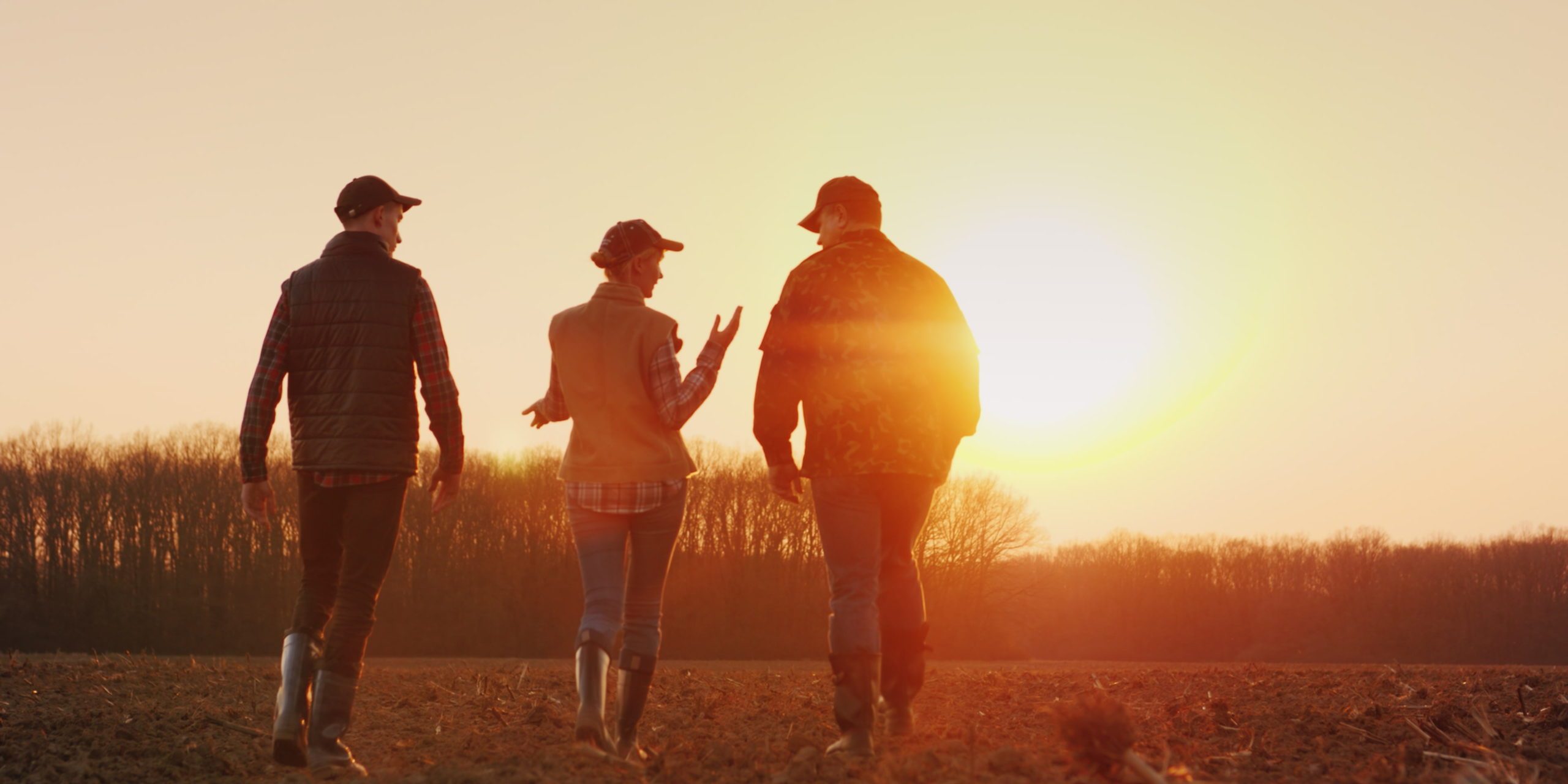 Three farmers go ahead on a plowed field at sunset. Young team of farmers.