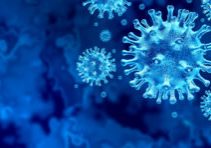 Coronavirus virus outbreak and coronaviruses influenza background as dangerous flu strain cases as a pandemic medical health risk concept with disease cells as a 3D render