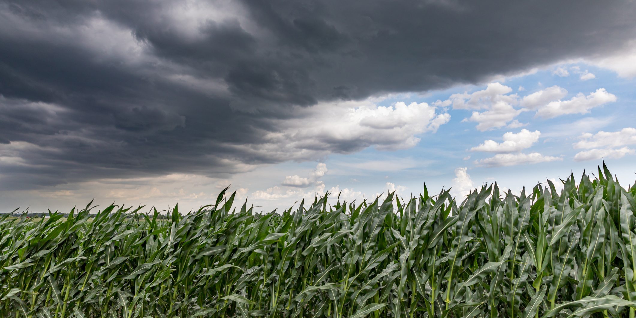 landscape, weather