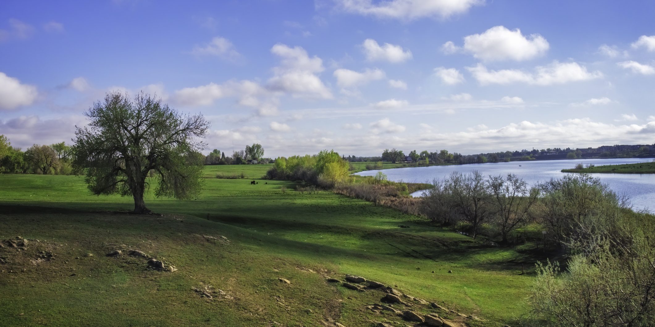 pasture rangeland